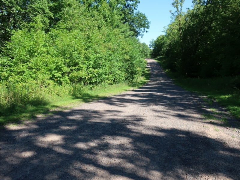 Image 12 of 22