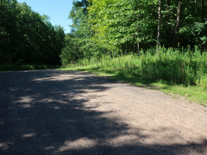Image 13 of 22