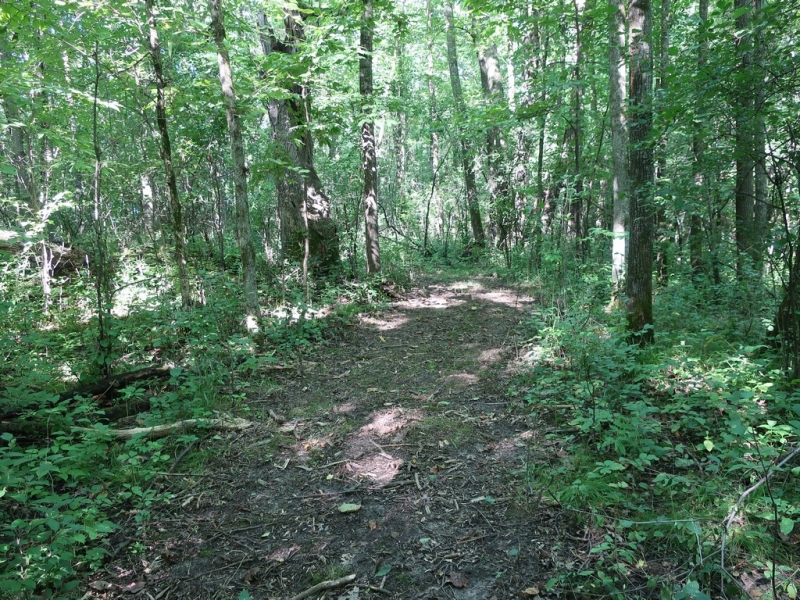 Image 14 of 22