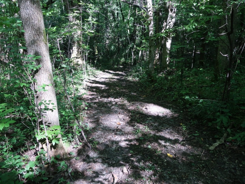 Image 15 of 22