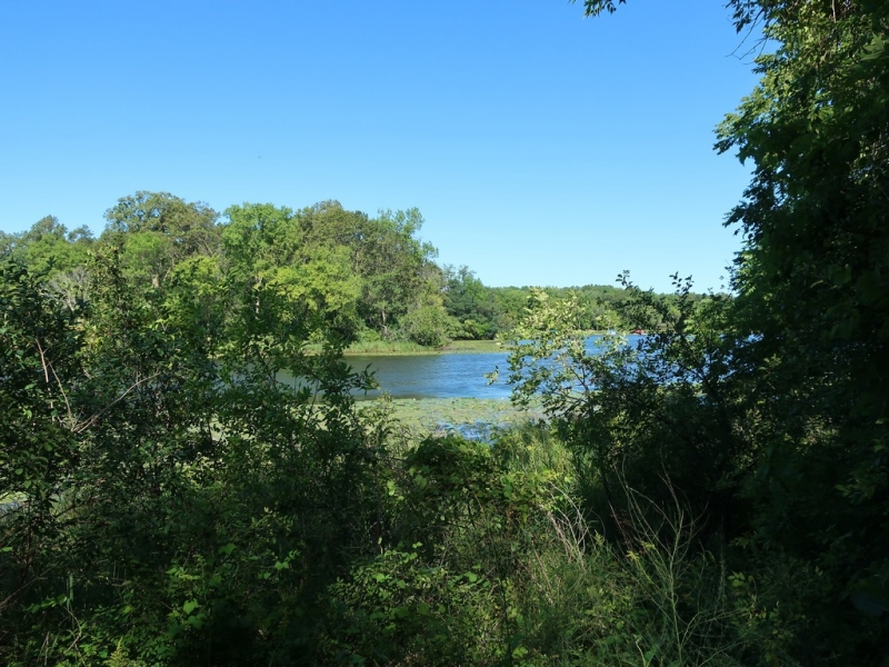 Image 16 of 22