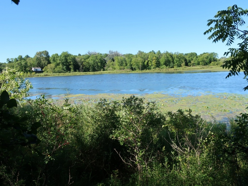 Image 17 of 22