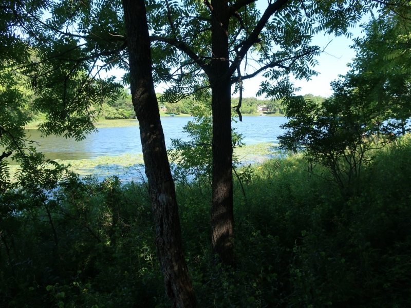 Image 18 of 22