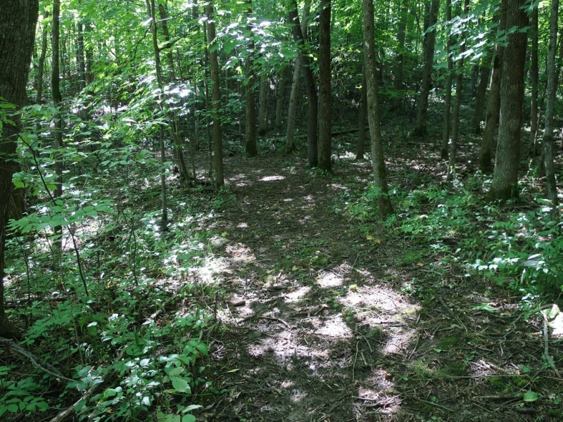 Image 19 of 22