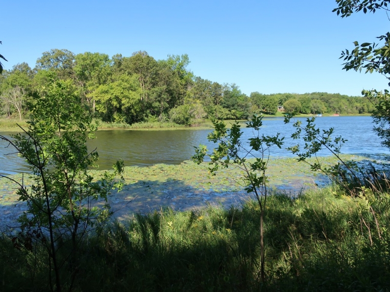 Image 20 of 22