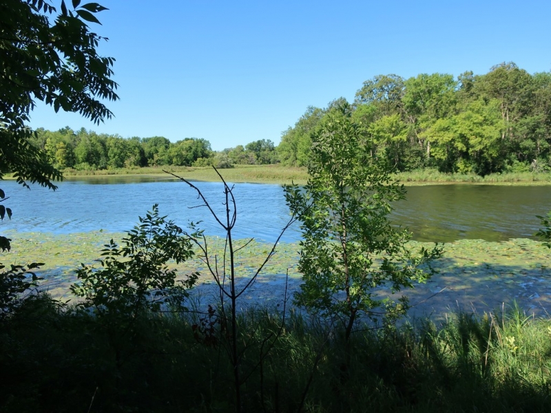 Image 21 of 22