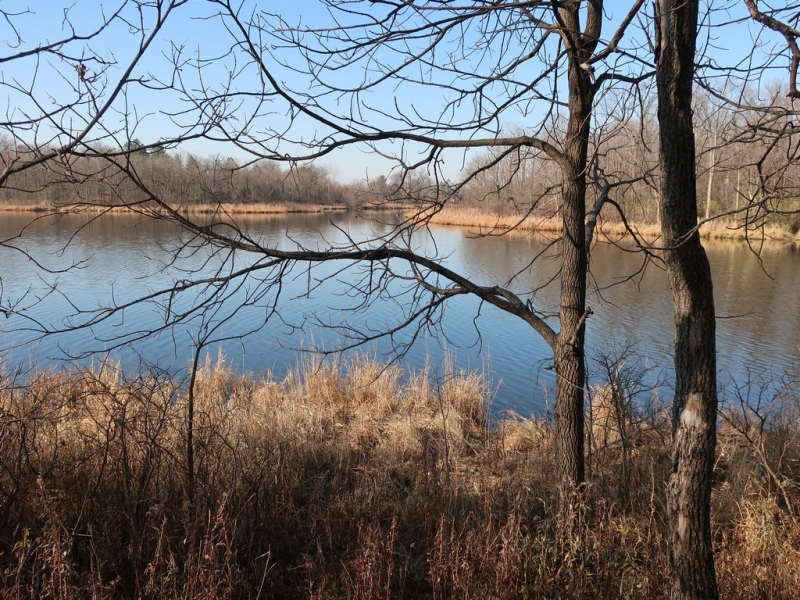 Image 6 of 22