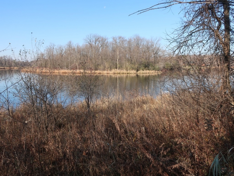 Image 8 of 22