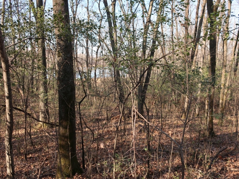 Image 9 of 22