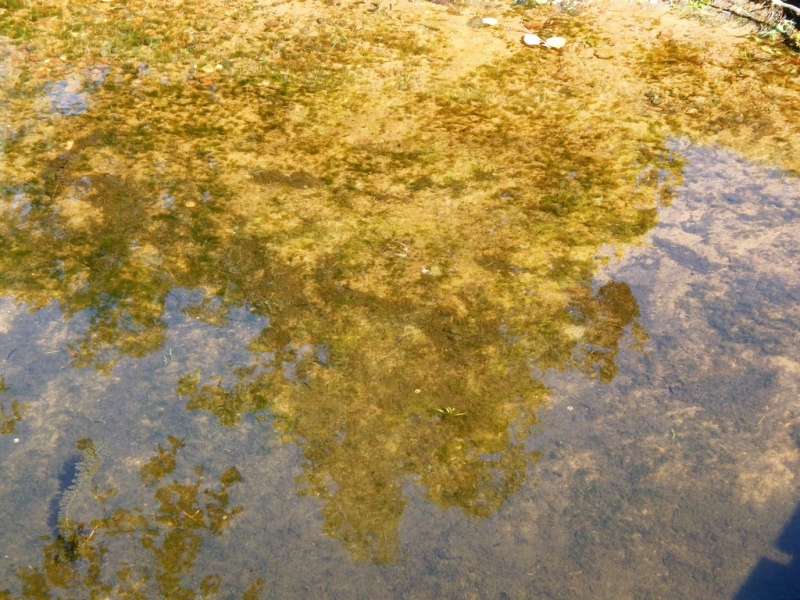 Image 15 of 30