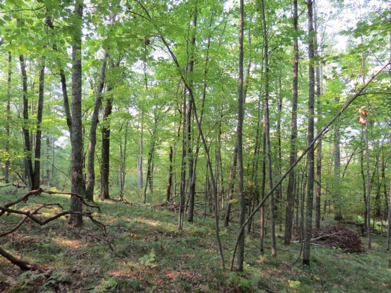 Image 12 of 23