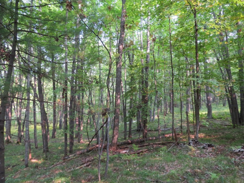 Image 13 of 23