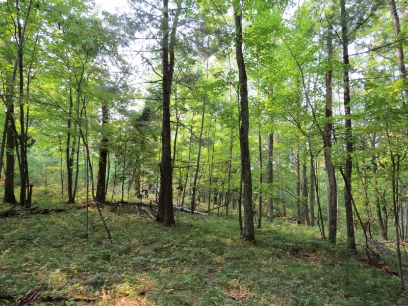 Image 14 of 23