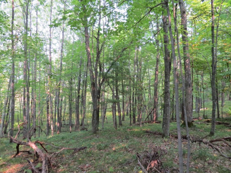 Image 15 of 23