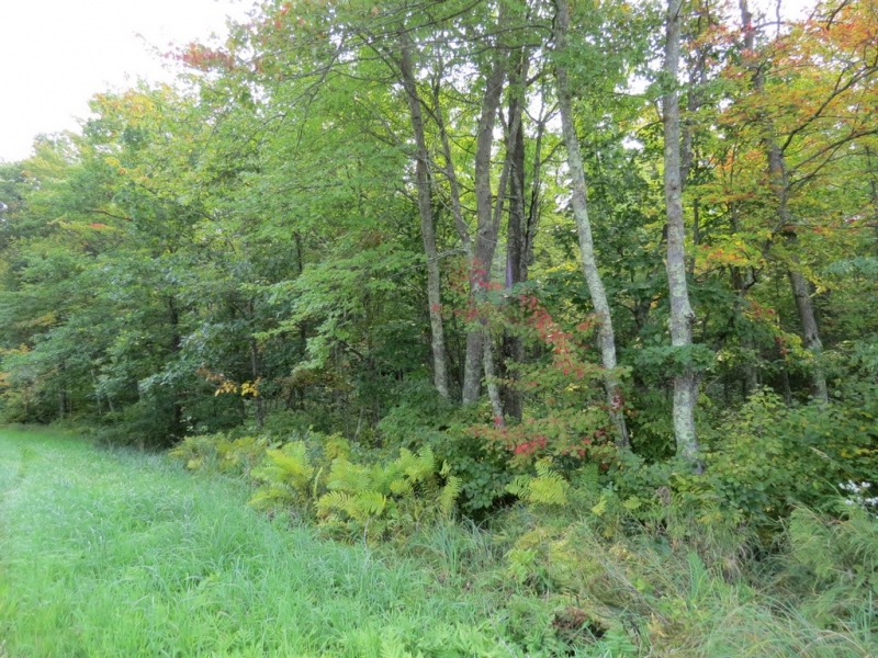Image 16 of 23