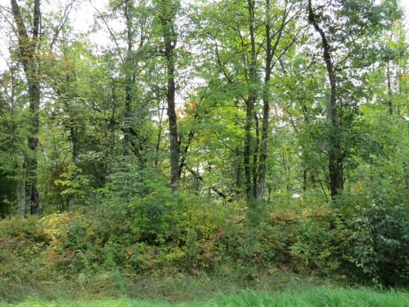 Image 17 of 23
