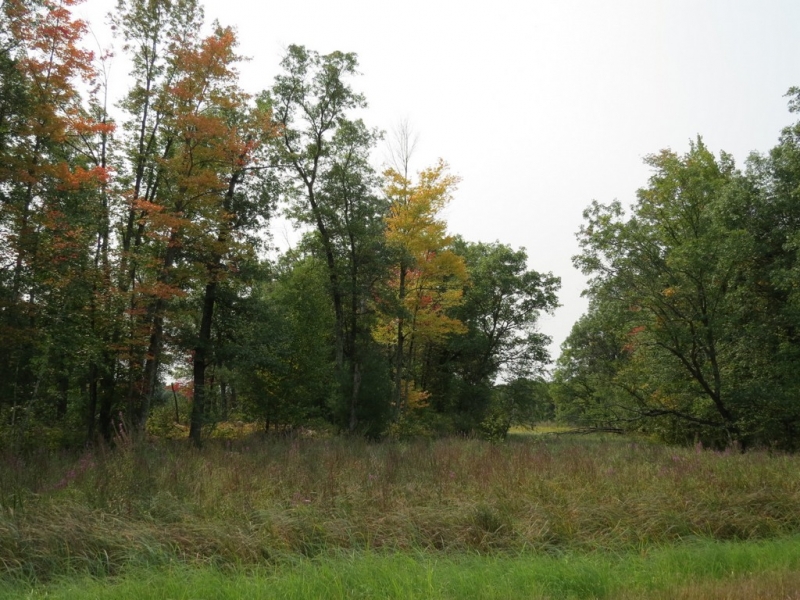 Image 18 of 23