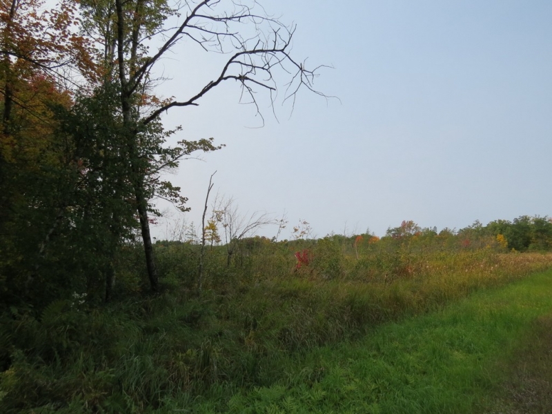 Image 19 of 23