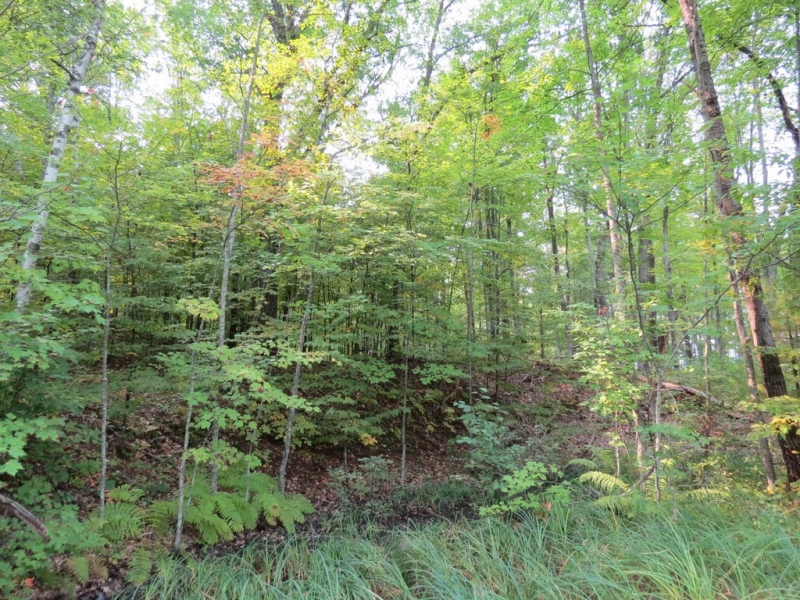 Image 2 of 23