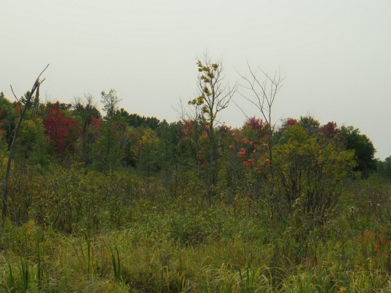 Image 20 of 23