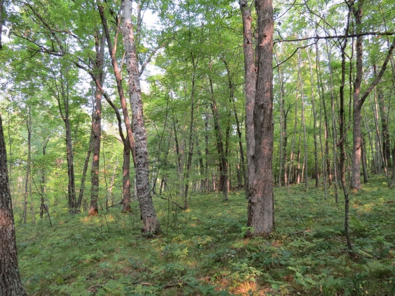 Image 21 of 23