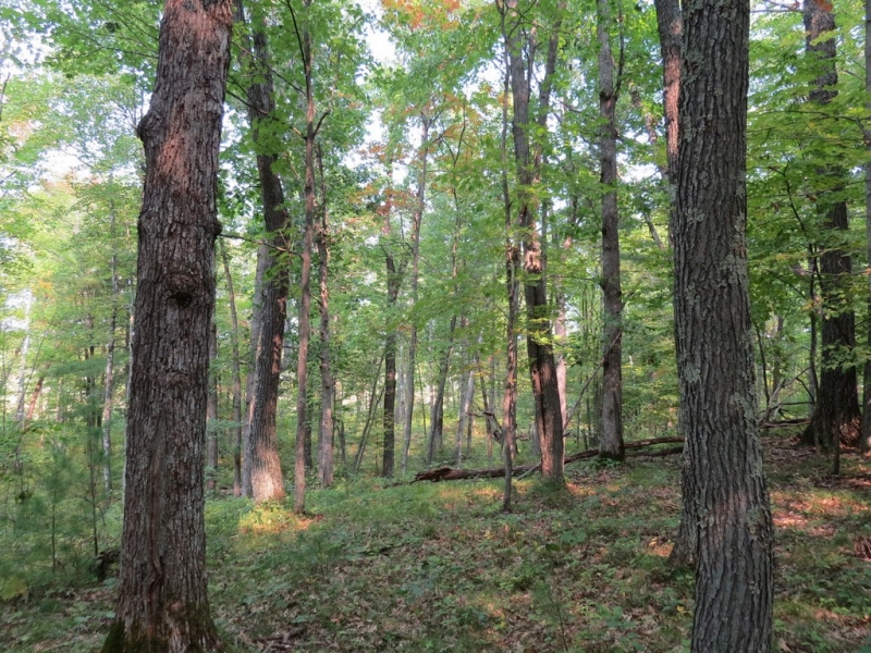 Image 22 of 23