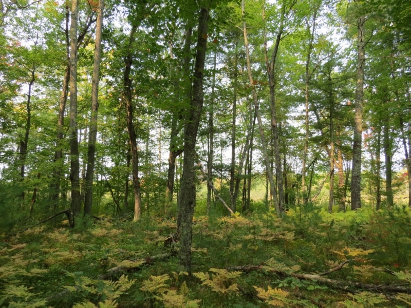 Image 5 of 23