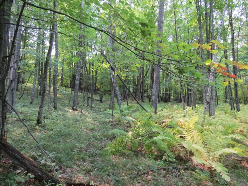 Image 6 of 23