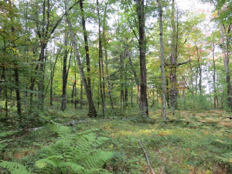 Image 7 of 23