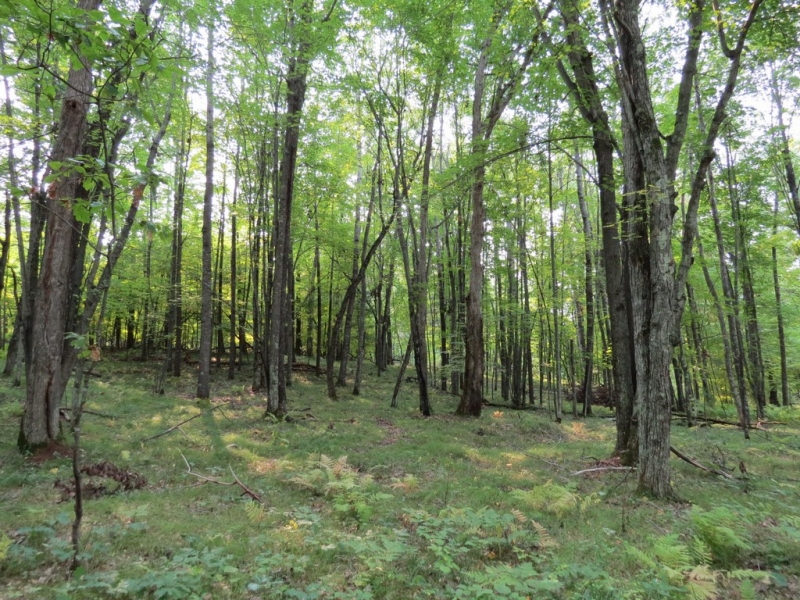 Image 9 of 23