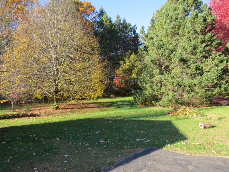 Image 21 of 26
