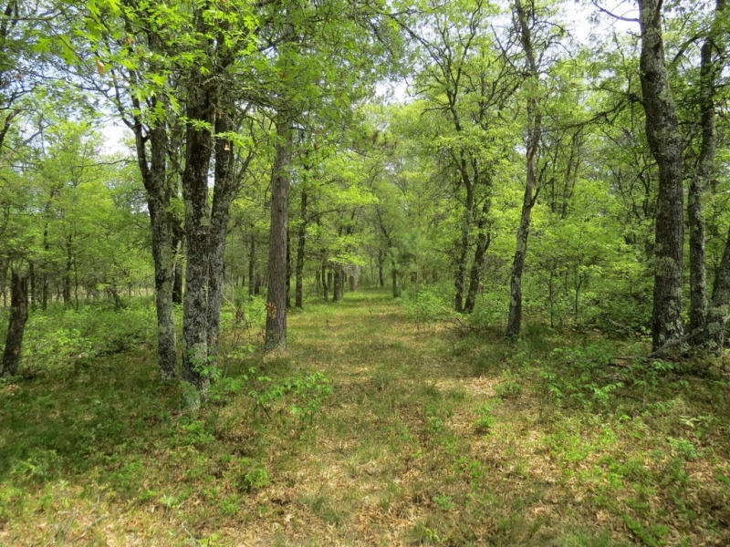 Image 1 of 13