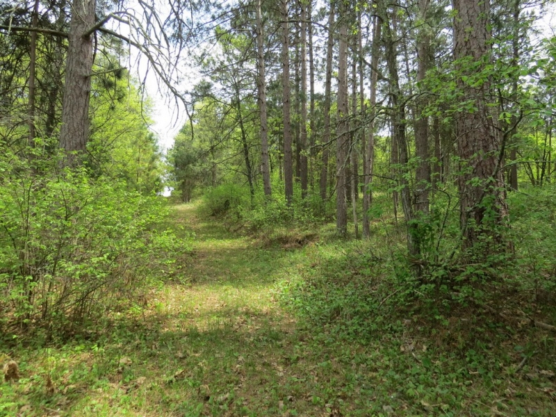 Image 10 of 13