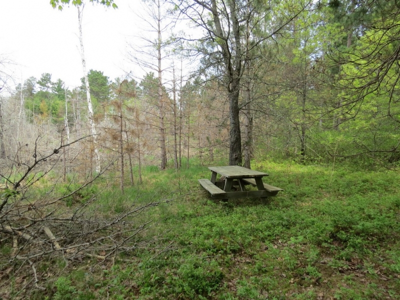 Image 11 of 13