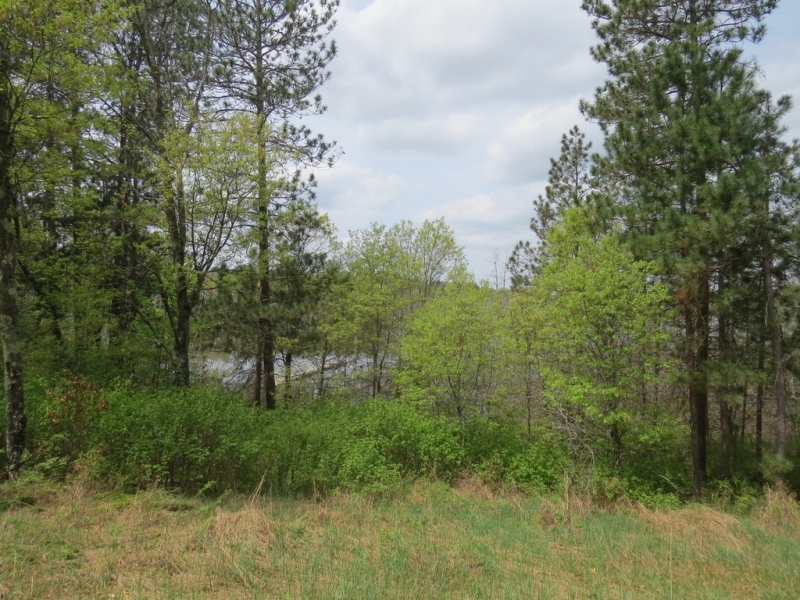 Image 12 of 13