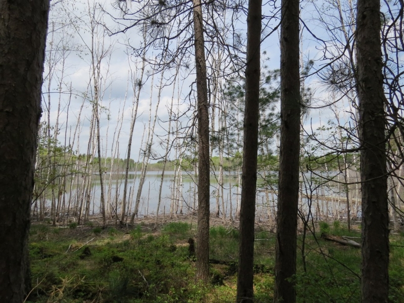 Image 2 of 13