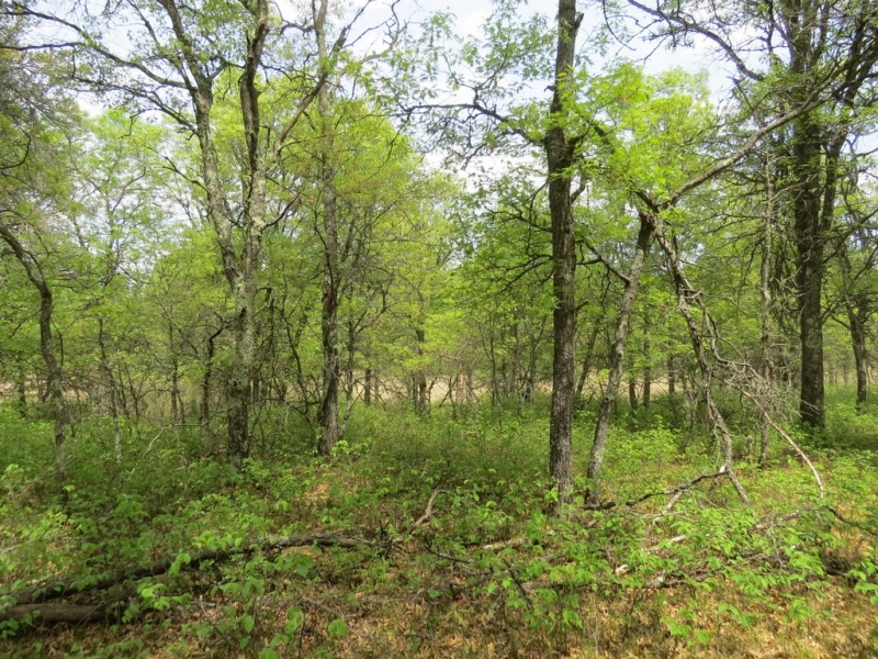 Image 6 of 13