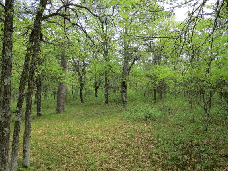Image 7 of 13