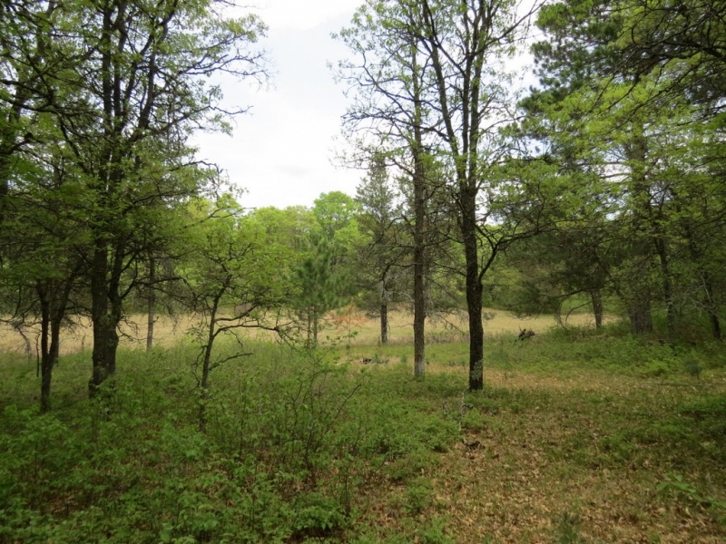 Image 8 of 13