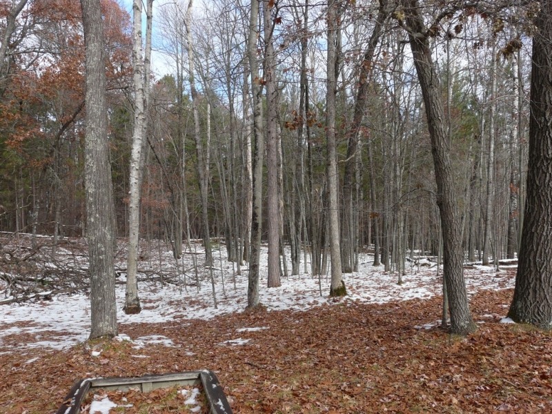 Image 10 of 12