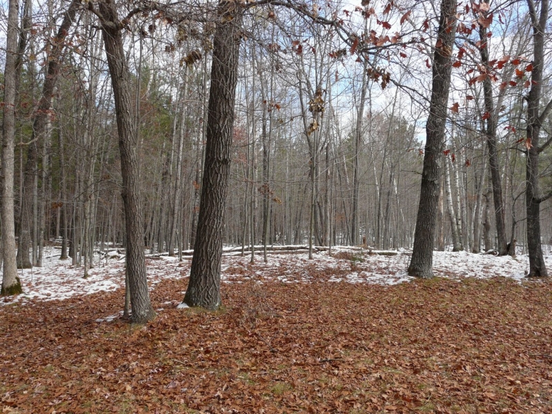 Image 11 of 12