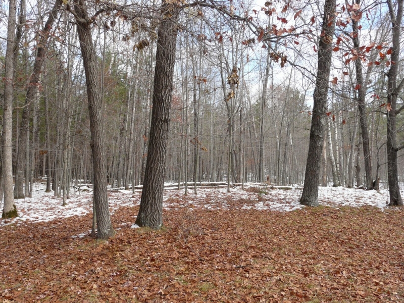 Image 12 of 12