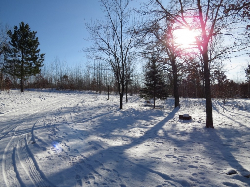 Image 20 of 23