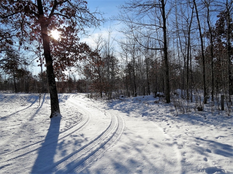 Image 22 of 23